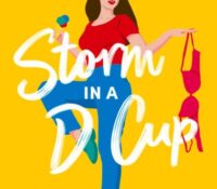 Book Review:  Storm in a D Cup by Nancy Barone